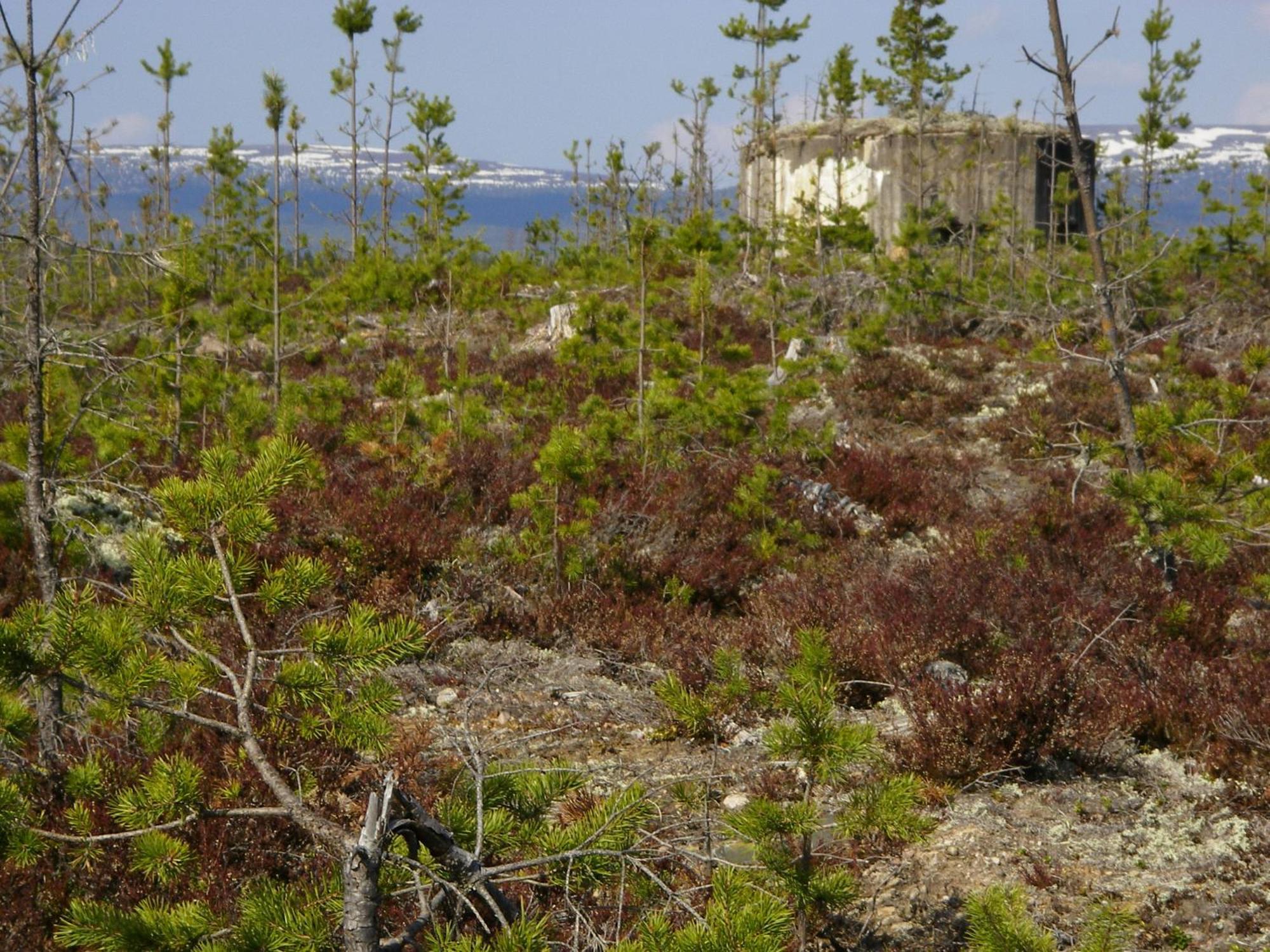 STF Vandrarhem Sälen Stöten Exterior foto